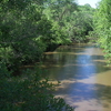 Reedy River Reedy River